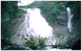 Thushara Giri Waterfall,Calicut Kozhikode