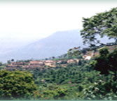 Tour Packages for Coonoor, Holiday Offers for Coonoor,trip to Coonoor,Coonoor Tour 