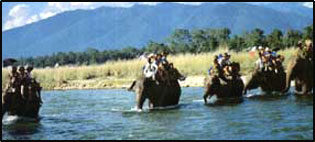Elephant Safari, Elephant Safari in India, India Elephant Travel, Elephant Tours India, Elephant Safaris