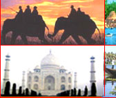 India Discounted Tours, India Tour Packages, India Travel Guide, Tour Packages for India, India Travel Guide, Discounted Tours for India, India Domestic Tours