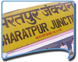 How to Reach Bharatpur, Travel to Bharatpur