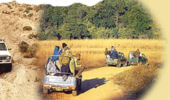 India Jeep, Jeep, Travel, Jeep tours, jeep safari, safari