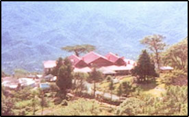 Kasauli View