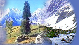 Kashmir Hotel Reservation, Kashmir Hotels, Kashmir Hotels Guide, Hotels in Kashmir, Kashmir Hotel Booking, Kashmir Accommodation, Places to Stay in Kashmir, Kashmir Hotels and Resort