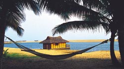 Popular Beaches of Kerala, Kerala  Beach, Beach Kerala,beaches Of Kerala