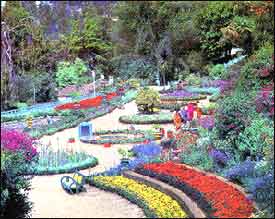 Botanical Garden of Ooty
