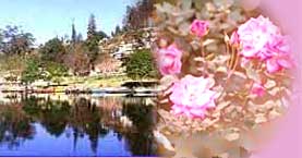 Ooty Tourism, Places to see in Ooty, Ooty Travel Agencies, Ooty Travel Agent, visit Ooty
