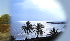 Pondicherry Holiday Offers, Tourist Attractions in Pondicherry, Pondicherry Travel Guide, Tour to Pondicherry, Travel to Pondicherry, Pondicherry Tour Operators