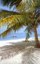 lakshadweep, India travel, visit india, india visit, indiavisit, visitindia, Lakshadweep, Lakshadeep, Travel, Tourism, Trip, Visit, Package tours, Inbound groups, Blue waters, Arabian sea, Lagoons, Kavaratti, Kalpeni, Tilakkam and Pitti, Minicoy, Kadamat, Bangaram, Fish, Snapper, Angel, Clown, Butterfly, Shore line, snorkelling, surfing, water skiing