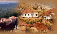 Resorts in Coorg, Coorg Hotels, Accommodations in Coorg, Hotels in Coorg, Places to Stay in Coorg, Stay in Coorg