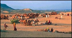 Pushkar Fair,Cultural of India, Indian Culture, Cultural Tours of India, Culture of India, India Tour, Cultural Holidays in India
