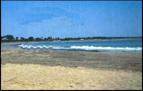 Nagoa beach,Daman and Diu, Places to see in Daman and Diu, Places to visit in Daman and Diu, Tourist attractions in Daman and Diu, Weekend trips from Daman and Diu Excursions, Events in Daman and Diu, Festivals in Daman and Diu