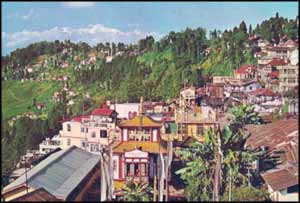 Darjeeling,Darjeeling, Tour Packages for Darjeeling, Holiday Offers for Darjeeling, Darjeeling Travel Packages, Darjeeling Tour, all-inclusive Darjeeling Tours, Darjeeling Tourism, visit Darjeeling
