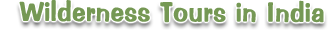Wilderness Tours in India