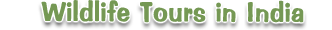 Wildlife Tours in India