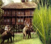 India Elephant, Elephant, Elephant Safari in India, Elephant Safari Tours in India, Elephant safari, Elephant ride, Elephant Safari Travel in India