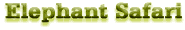 Elephant Safari