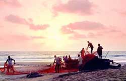 Agonda Beach