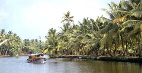 Backwaters - Kerala