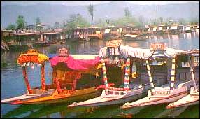 Shikaras on Dal Lake