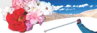 Tourist Places in India, Tourism in India, Travel in India