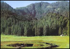 himachal