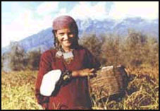 Nagaland