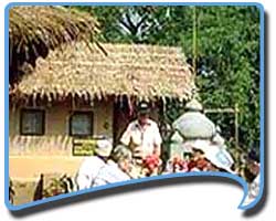 Hotels of Bandhavgarh, Bandhavgarh Hotels