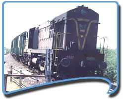 How to Reach Bandhavgarh, Travel to Bandhavgarh