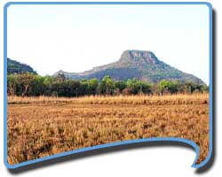 Travel to Bandhavgarh, Bandhavgarh Tours