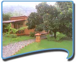 Hotels in Corbett, Corbett Hotels