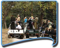 Travel to Jim Corbett National Park, Corbett Tiger Reserve