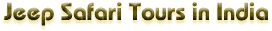 Jeep Safari Tours