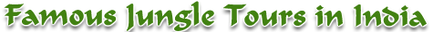 Famous Jungle Tours in India