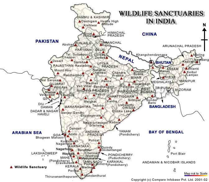 Jungle Map of India