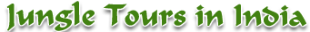 Jungle Tours in India