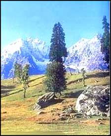 Sonmarg Glacier of Kashmir