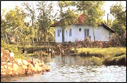 Backwaters of Kerala
