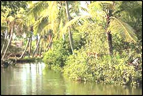 Backwaters of Kerala
