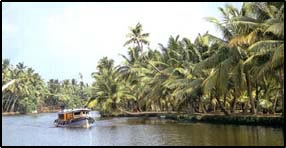 Backwaters of Kerala