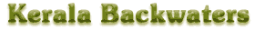 Kerala Backwater