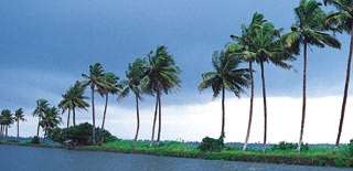 Alappuzha, Alappuzha travel, Visit Alappuzha, Alappuzha,Alappuzha tourism, Alappuzha beach, Alappuzha tour, Alappuzha packages, holiday in Alappuzha