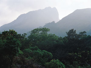 Palakkad Travel, Visit Palakkad, Palakkad travel, Palakkad tour, Palakkad tourism, Palakkad packages, holiday in Palakkad