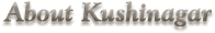 About Kushinagar