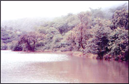 Lake in Lonavala
