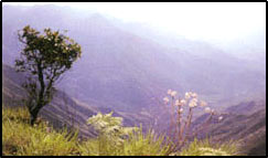 Hotels in Lonavala, Lonavala Tour Guide, Places to see in Lonavala, Lonavala Holiday Offers, Places to stay in Lonavala