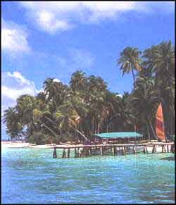 Beach View in Maldives