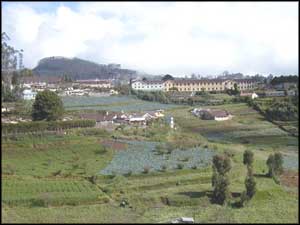 Ooty-Hill-Scene