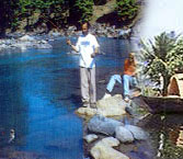 Nature Tours in India, India Nature Travel, India Nature Tours, Wildlife Tours of India, India Hill Resorts, Nature Tourism in India, Nature Travel to India