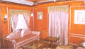 Luxury Train in India